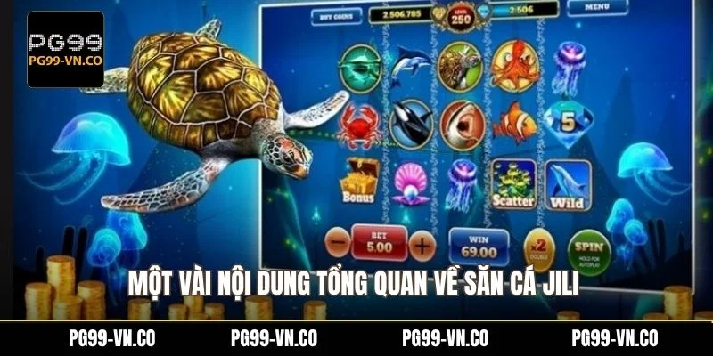 Một vài nội dung tổng quan về săn cá Jili 